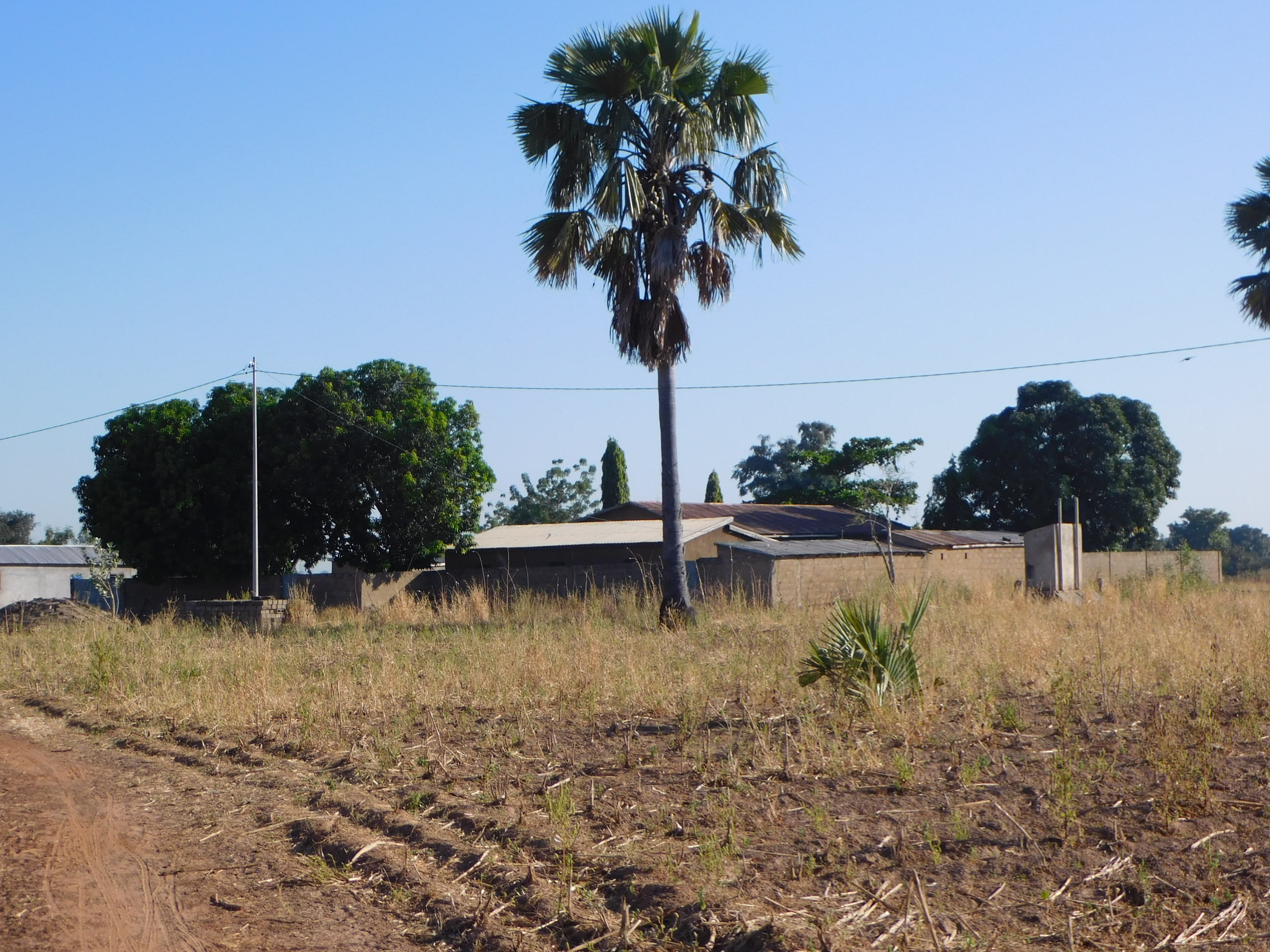 New solar water pump